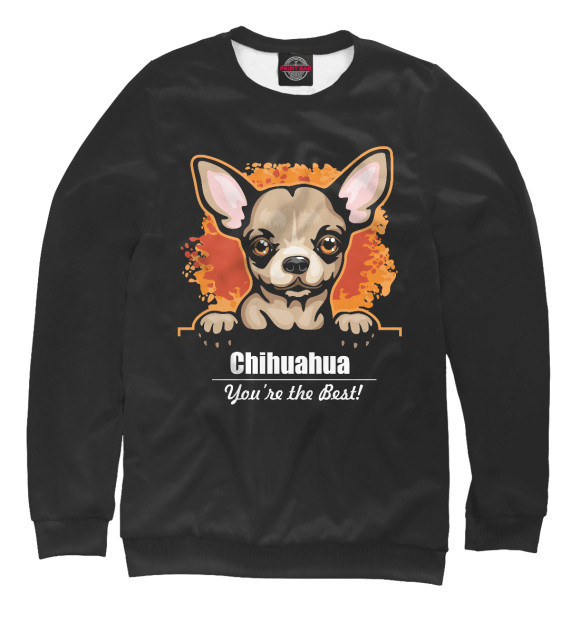 Свитшот Чихуахуа (Chihuahua) для мальчиков 