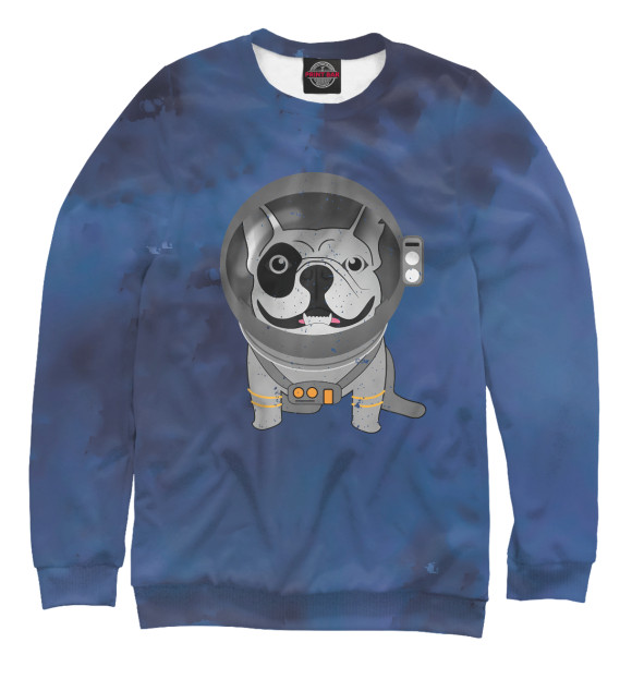 Свитшот French Bulldog Astronaut для мальчиков 