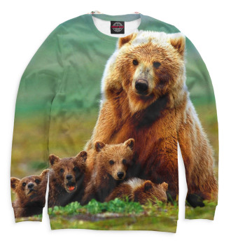 Свитшот для мальчиков Медведица и медвежата