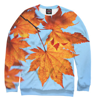 Свитшот для мальчиков Осенние кленовые листья