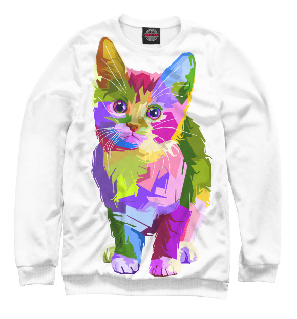 Свитшот Разноцветный котенок для мальчиков 