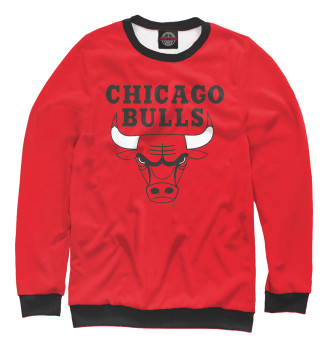 Мужской Свитшот Chicago Bulls