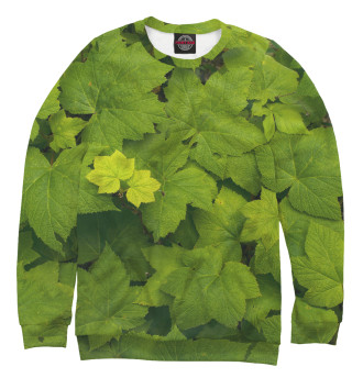 Свитшот для мальчиков Зелёные листья