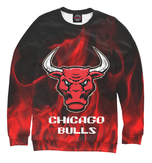 Мужской Свитшот Chicago Bulls