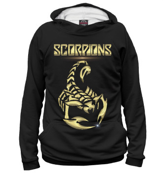 Худи для мальчиков Scorpions