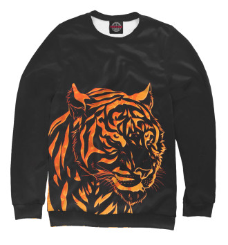 Свитшот для мальчиков Огненный тигр