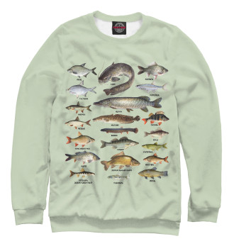 Свитшот для мальчиков Популярные виды рыб