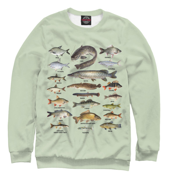 Свитшот Популярные виды рыб для мальчиков 