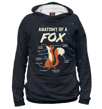 Мужское Худи Anatomy Of A Fox