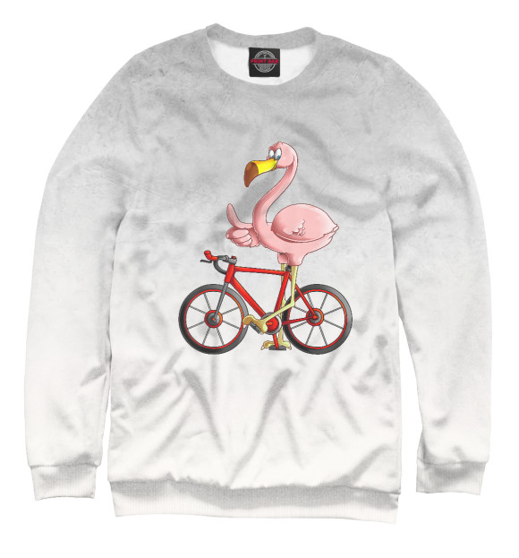 Свитшот Flamingo Riding a Bicycle для девочек 