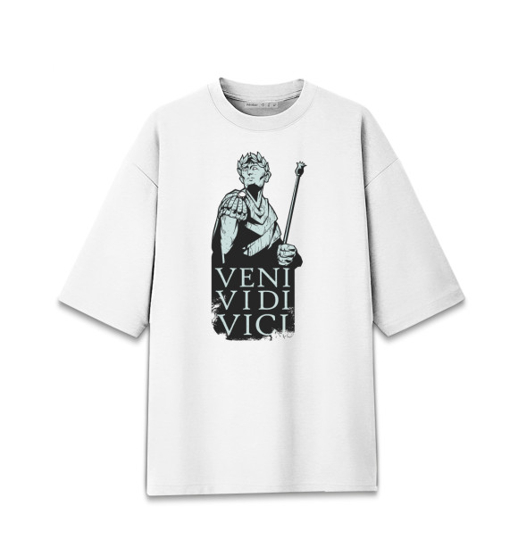 Мужская Хлопковая футболка оверсайз Veni Vidi Vici