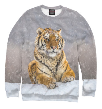 Свитшот для мальчиков Тигр зимой