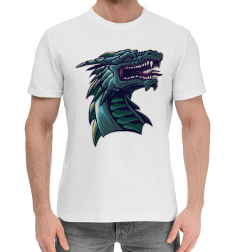 Хлопковая футболка Дракон