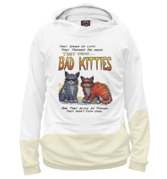 Худи для мальчиков Bad Kitties
