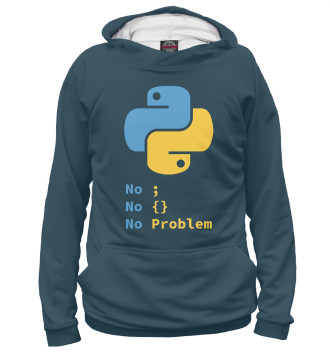 Худи для мальчиков Python No Problem