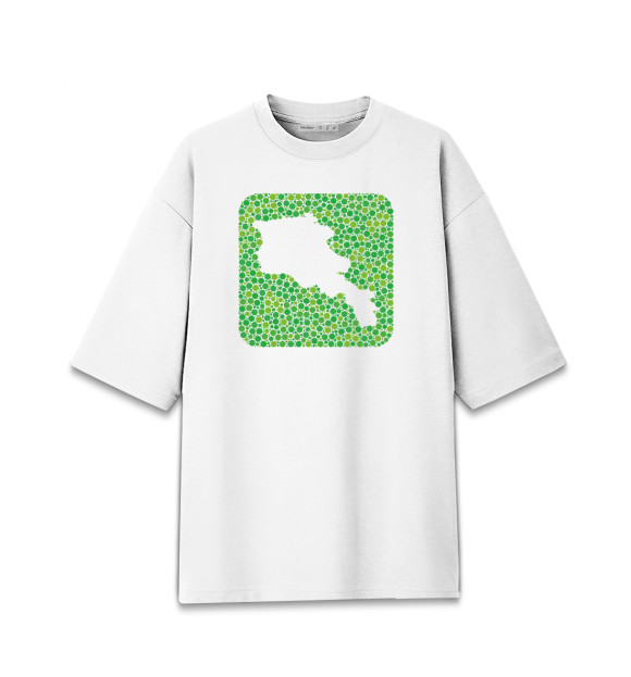 Женская Хлопковая футболка оверсайз Армения