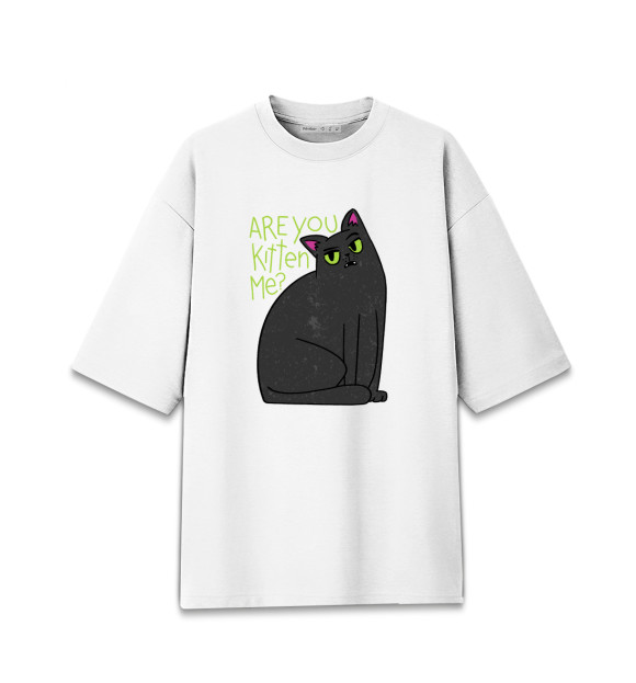 Мужская Хлопковая футболка оверсайз Are You Kitten Me